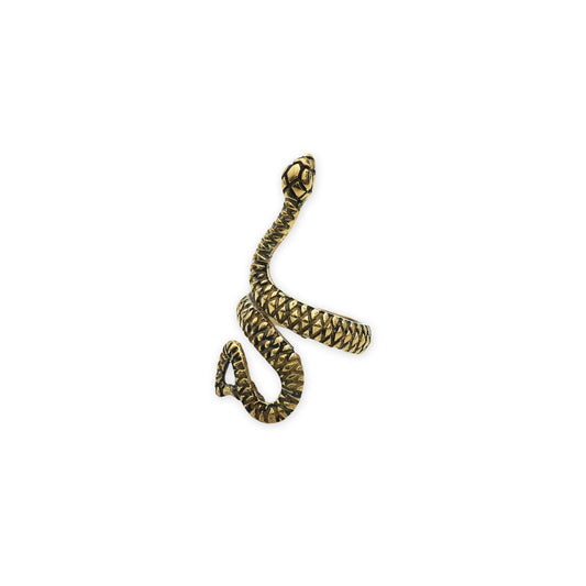 Serpenta Ring – Front view of handcrafted gold-tone snake ring with detailed serpent head and coiled design, symbolizing transformation and strength